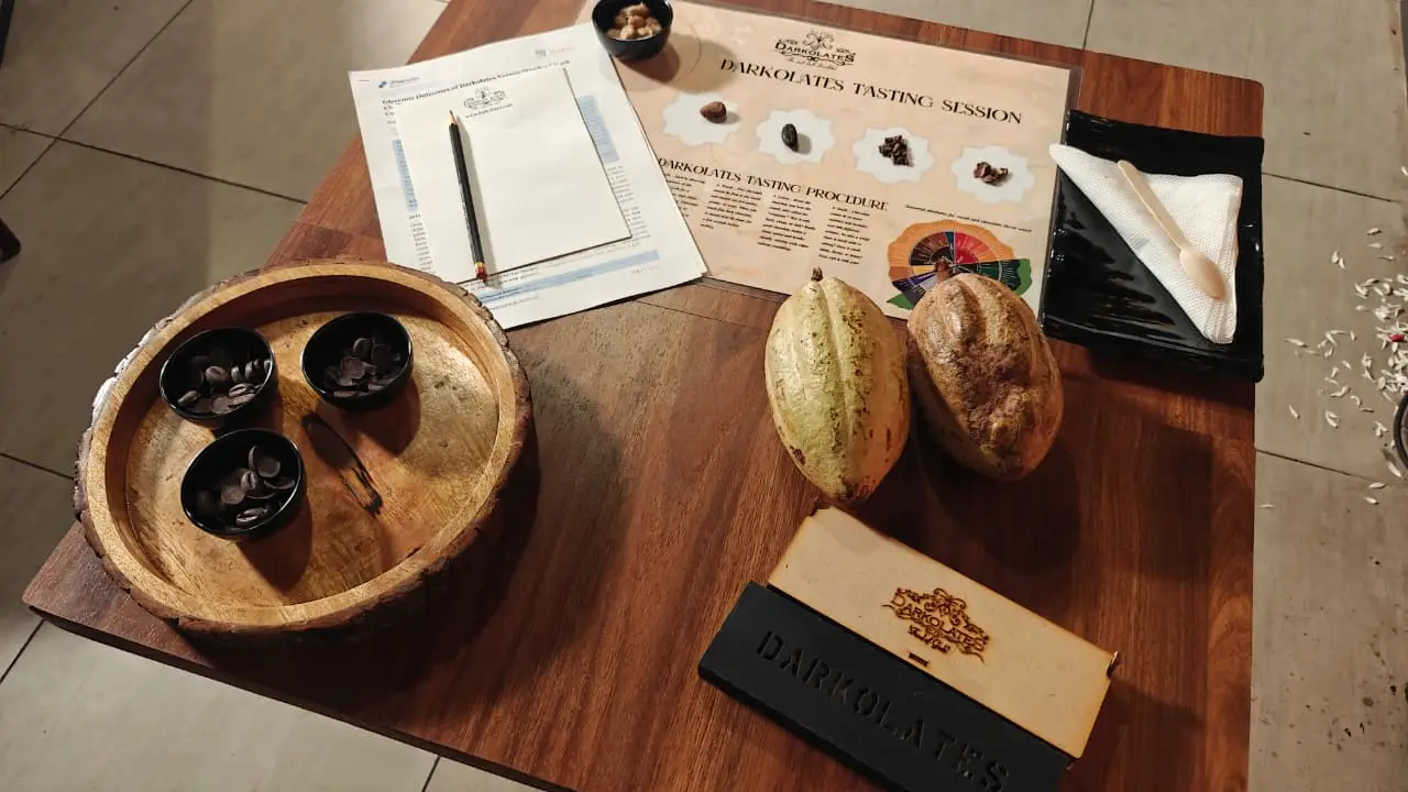 Darkolates tasting session setup — cacao pods, tasting sheets and chocolate cubes
